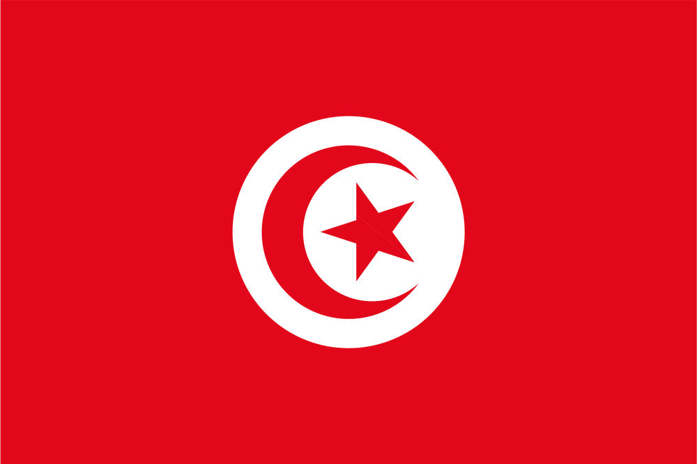 هل تتجه تونس نحو انتخابات برلمانية ورئاسية مبكرة؟