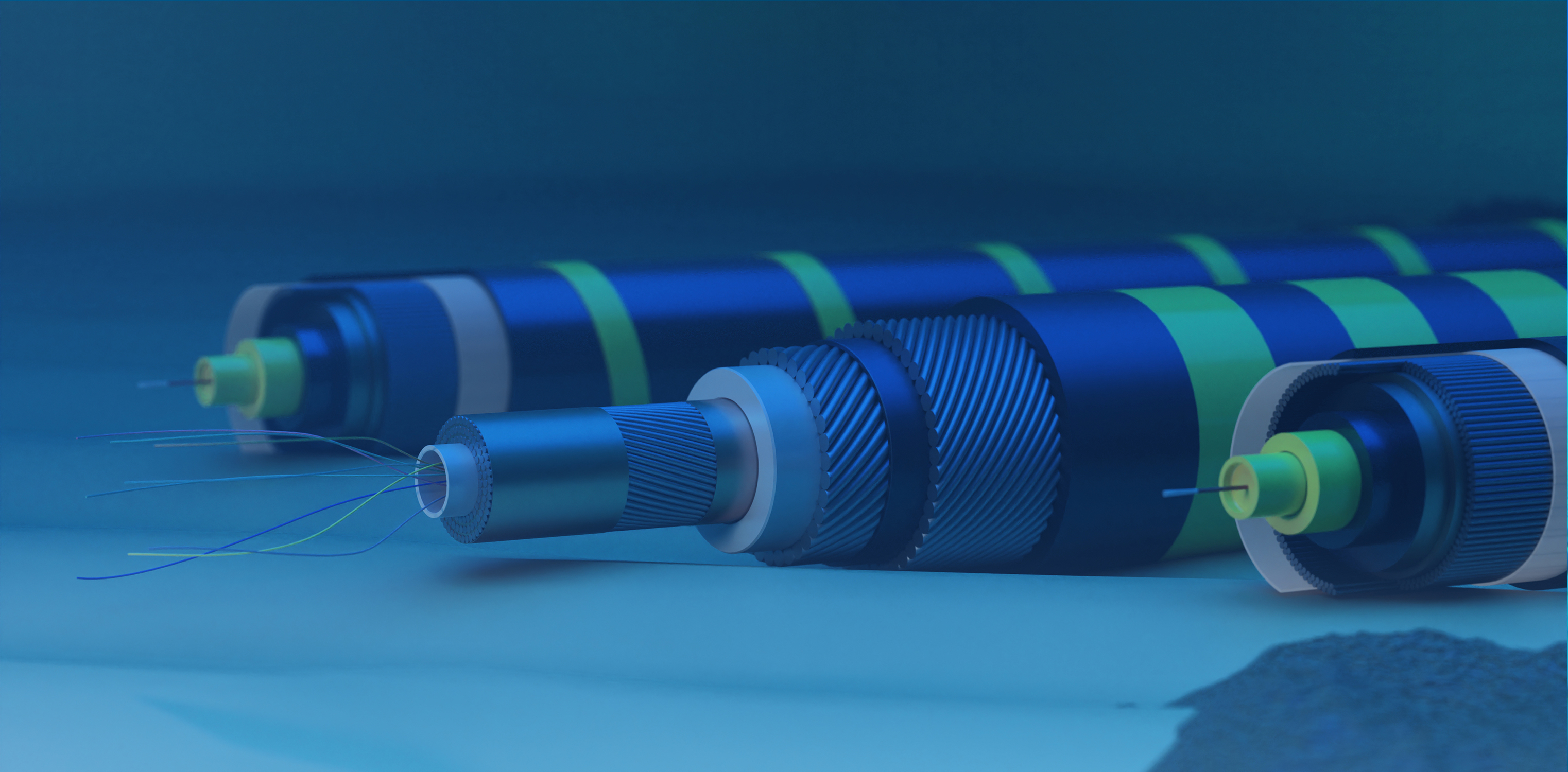 Assessing Risks and Safeguarding Undersea Cable Networks