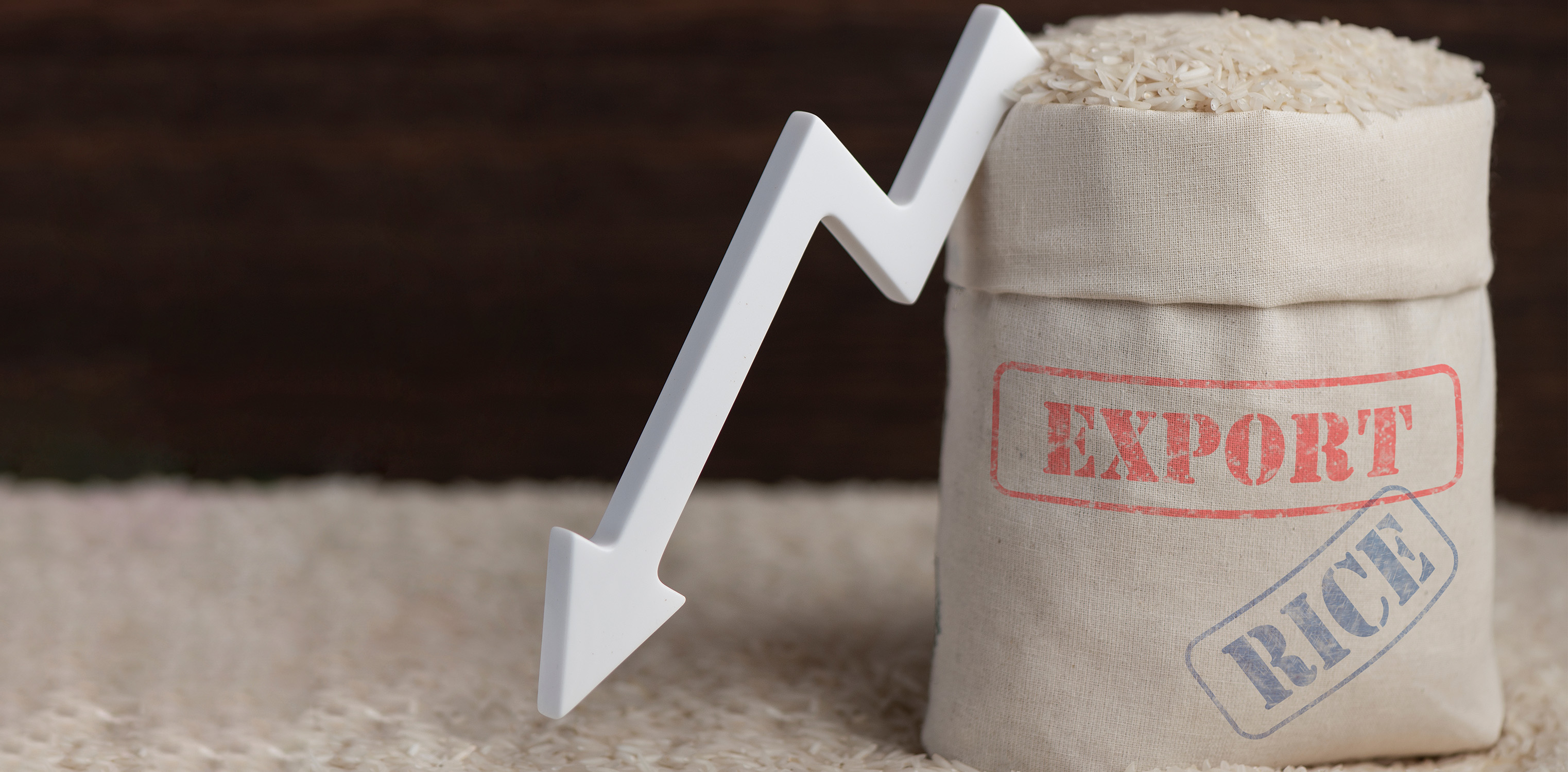 How Can Governments Deal with the Global Rice Crisis?