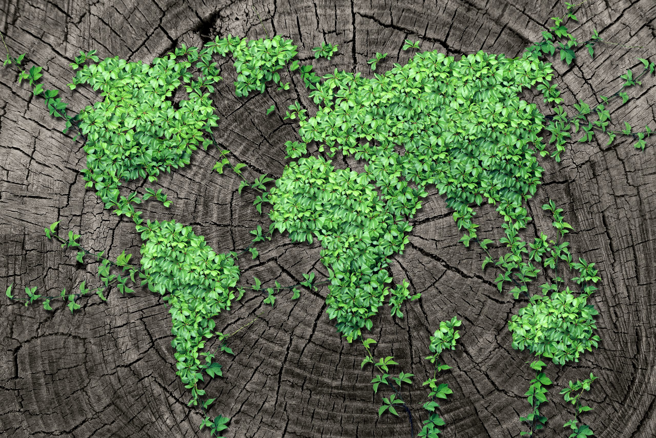 Will Environmental Policies Create Opportunities for Cooperation Between Washington and Middle Eastern Nations?
